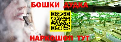 сатива Будённовск
