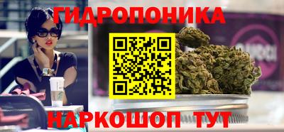 сатива Будённовск