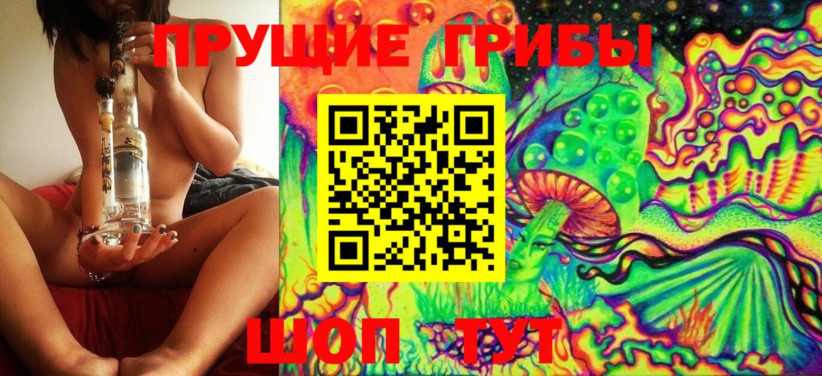 Арзамас  магазин    Вход с VPN  Галлюциногенные грибы Psilocybine cubensis 