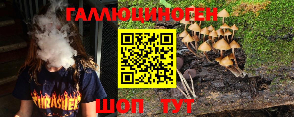 Галлюциногенные грибы Psilocybine cubensis Арзамас